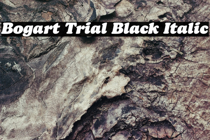 Bogart Trial Black Italic Example 3