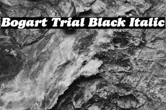 Bogart Trial Black Italic Font examples