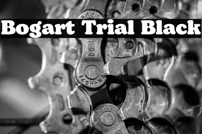 Bogart Trial Black Example 2