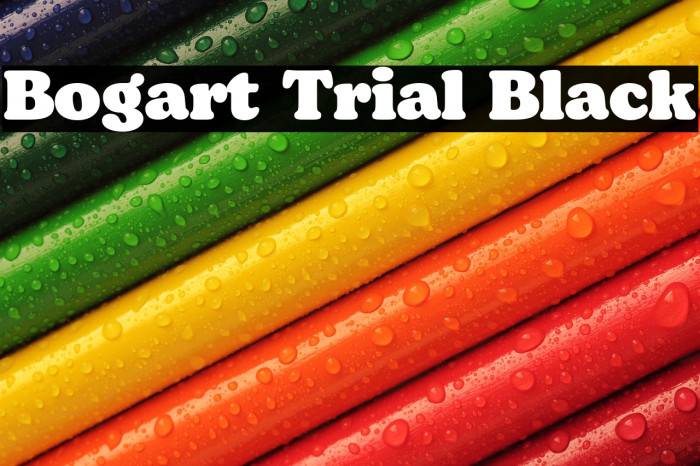 Bogart Trial Black Example 3