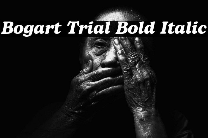 Bogart Trial Bold Italic Example 1