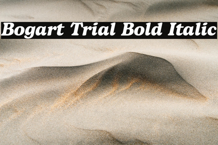 Bogart Trial Bold Italic Example 2