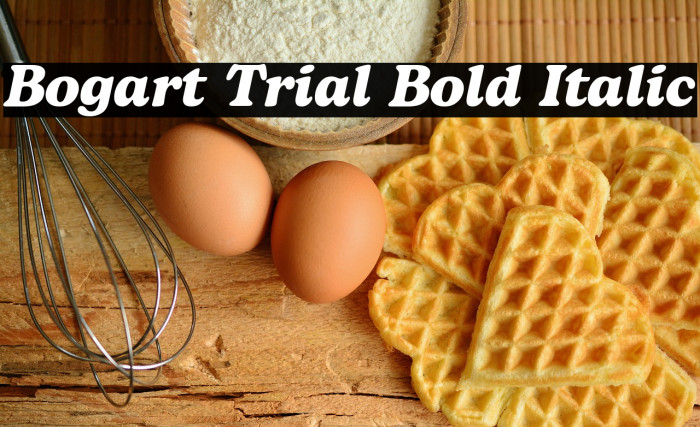 Bogart Trial Bold Italic Example 3