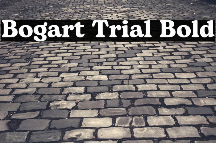 Bogart Trial Bold Example 2
