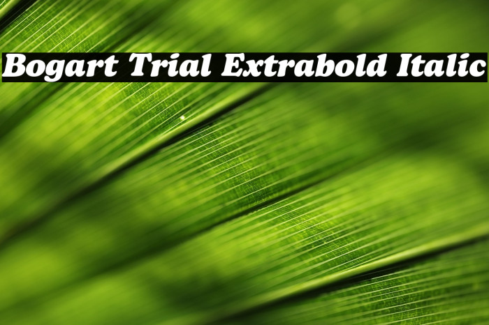 Bogart Trial Extrabold Italic Example 1