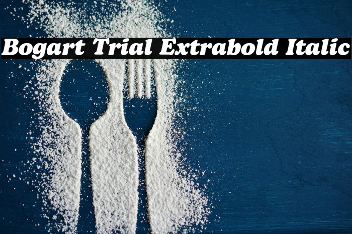 Bogart Trial Extrabold Italic Example 2