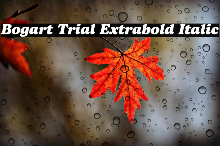 Bogart Trial Extrabold Italic Example 3