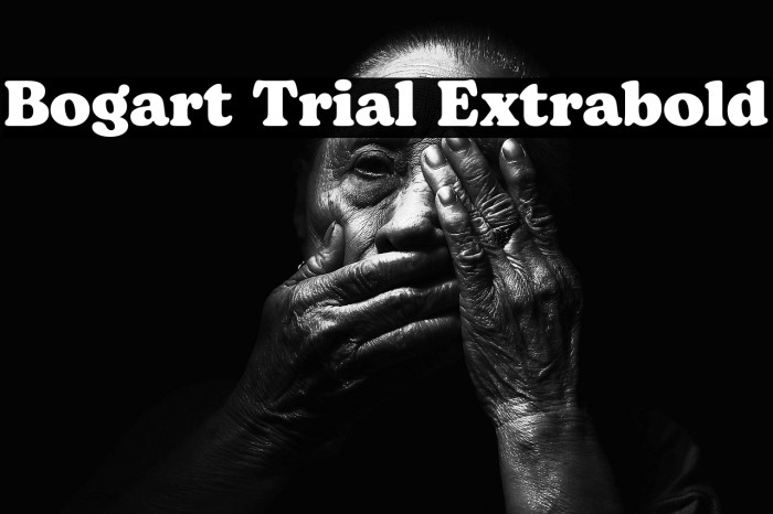 Bogart Trial Extrabold Example 1