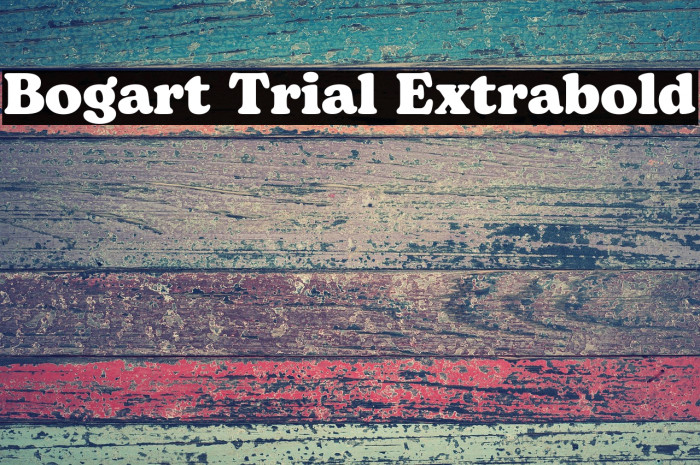 Bogart Trial Extrabold Example 2