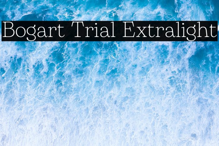 Bogart Trial Extralight Example 1