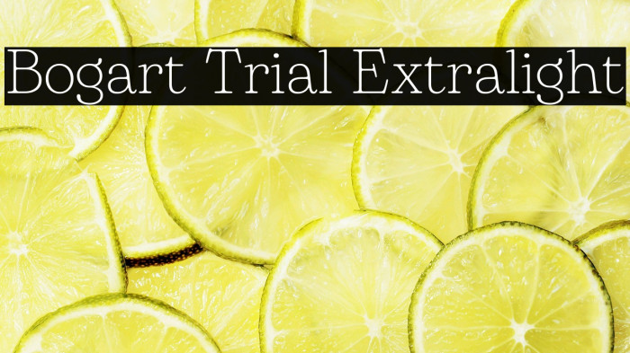Bogart Trial Extralight Example 2