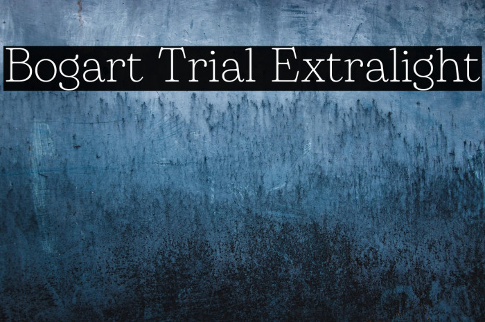 Bogart Trial Extralight Example 3