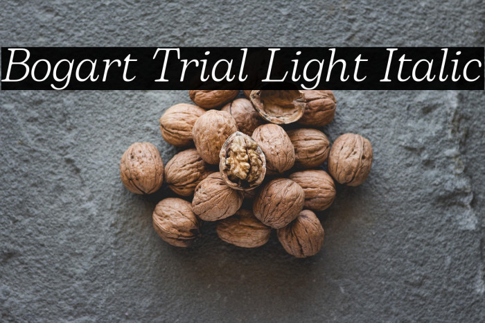 Bogart Trial Light Italic Example 1