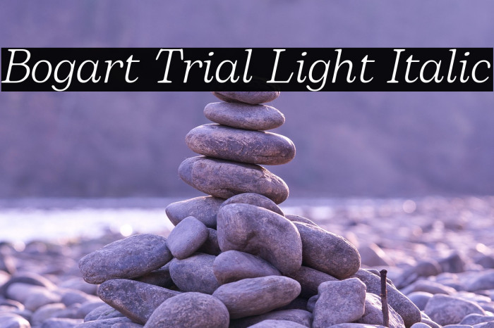 Bogart Trial Light Italic Example 3