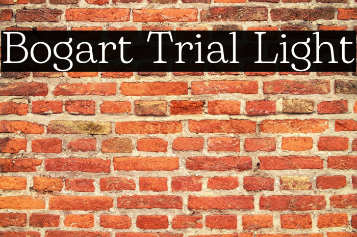 Bogart Trial Light Example 1