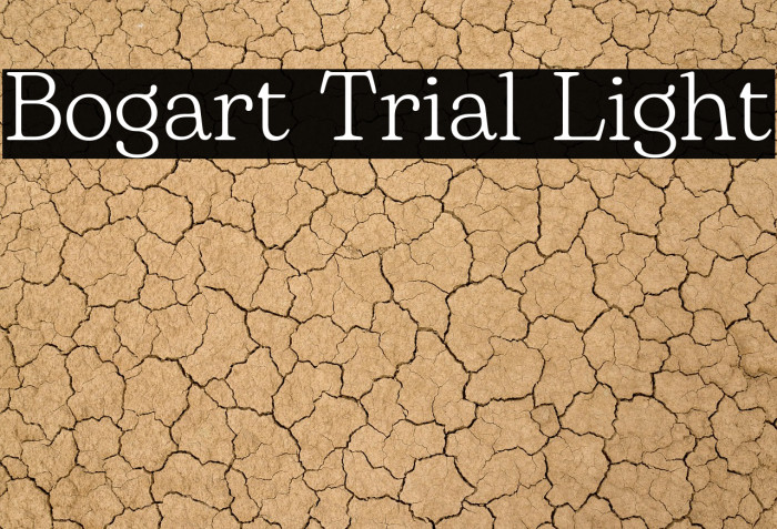 Bogart Trial Light Example 2