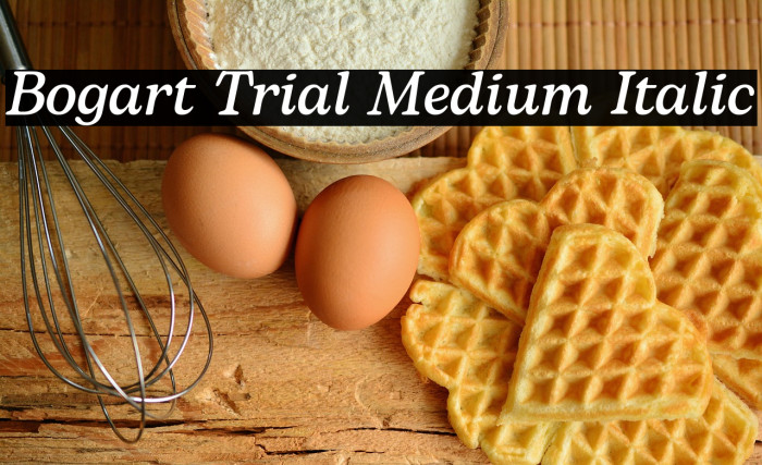 Bogart Trial Medium Italic Example 1