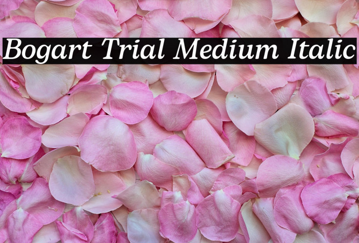 Bogart Trial Medium Italic Example 3