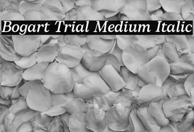 Bogart Trial Medium Italic Font examples