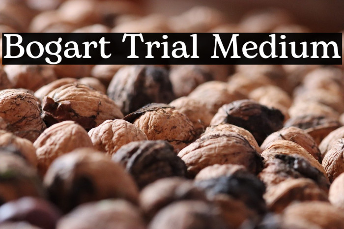 Bogart Trial Medium Example 2