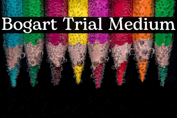 Bogart Trial Medium Example 3