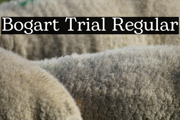 Bogart Trial Regular Example 1