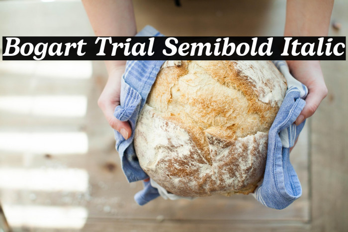 Bogart Trial Semibold Italic Example 1