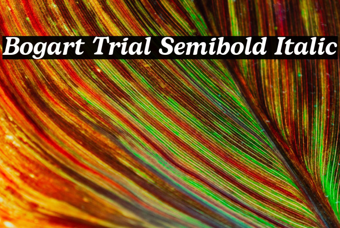 Bogart Trial Semibold Italic Example 3