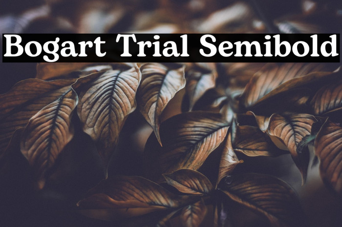Bogart Trial Semibold Example 1