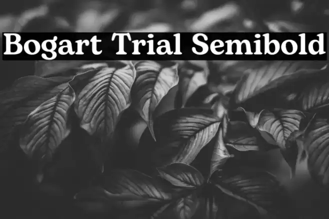 Bogart Trial Semibold Font examples
