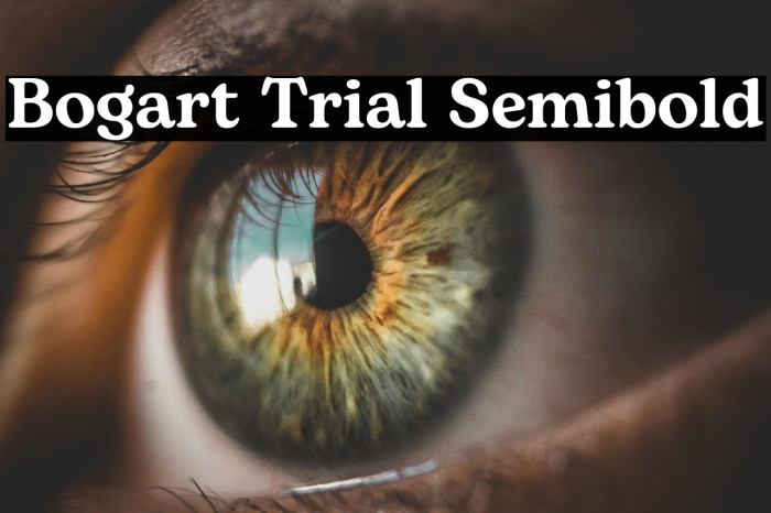Bogart Trial Semibold Example 3