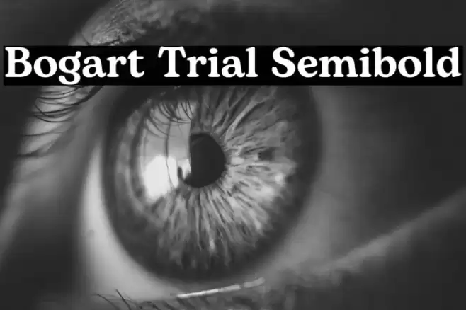 Bogart Trial Semibold Font examples