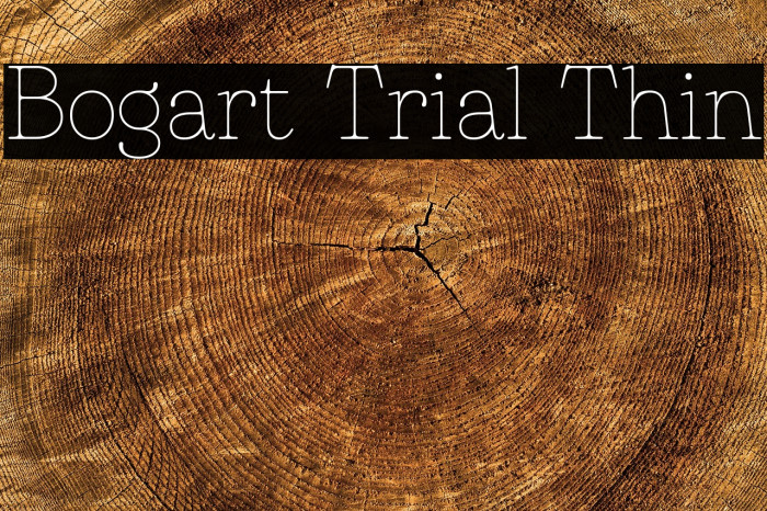 Bogart Trial Thin Example 2