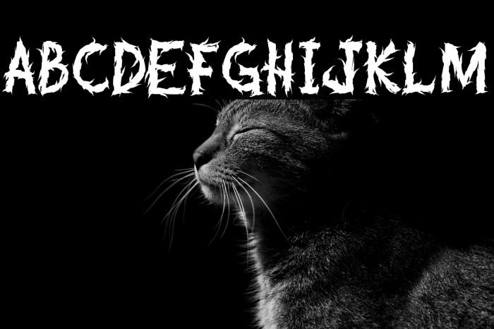 Bogarts Metal Example 3