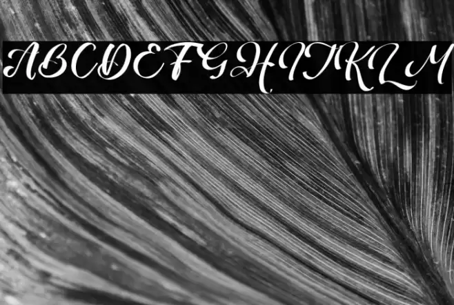 Bogbeast Font examples