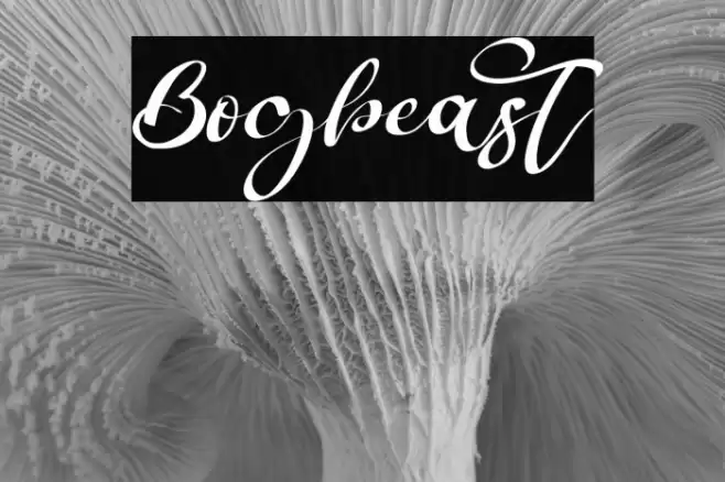 Bogbeast Font examples