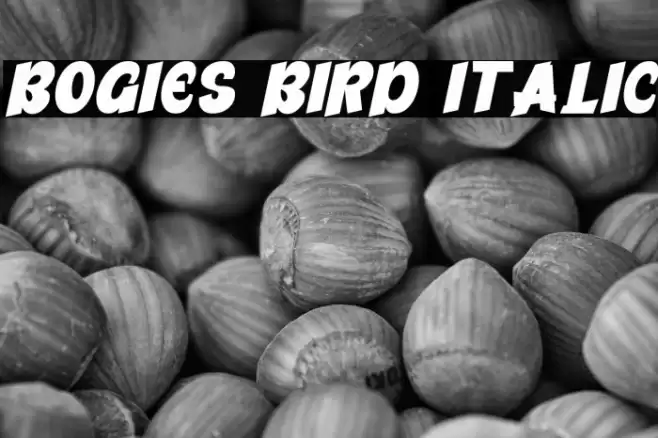 Bogies Bird Italic Polices examples