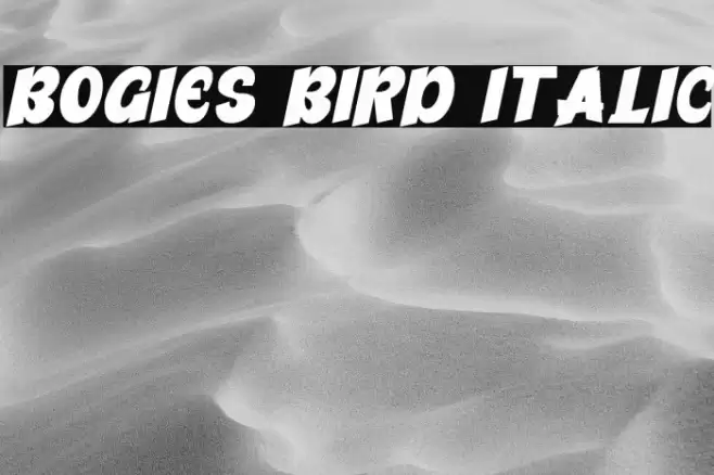 Bogies Bird Italic Polices examples