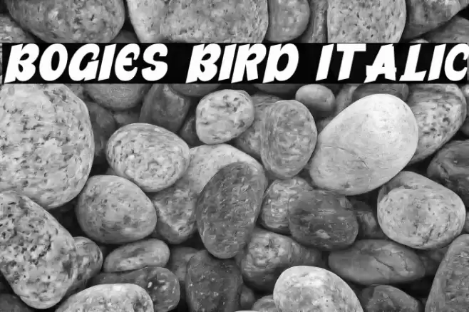 Bogies Bird Italic Polices examples