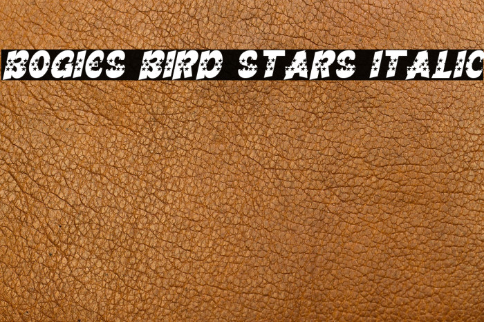 Bogies Bird Stars Italic Example 2