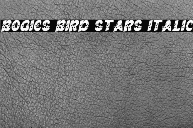 Bogies Bird Stars Italic Font examples