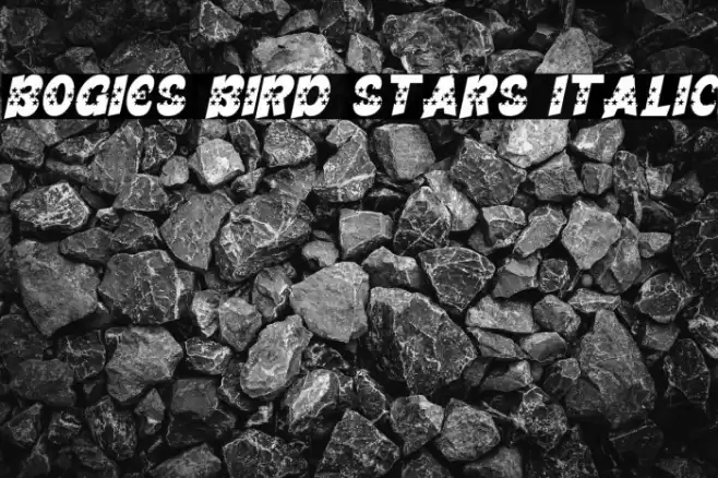 Bogies Bird Stars Italic Font examples