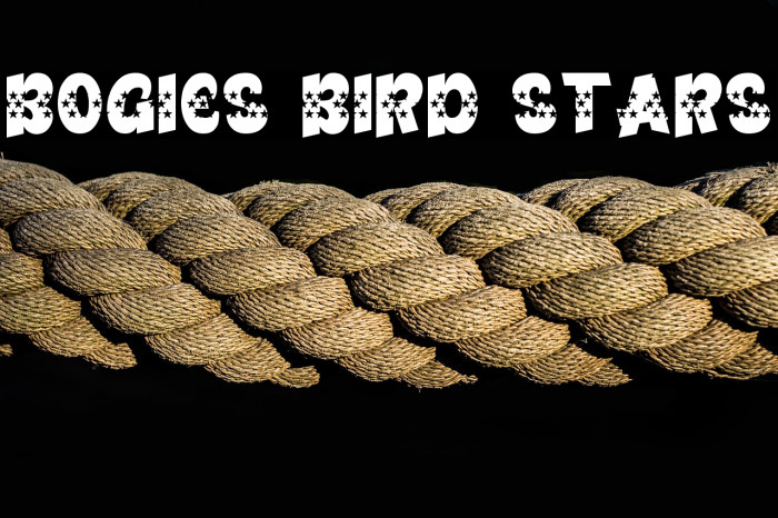 Bogies Bird Stars Example 2