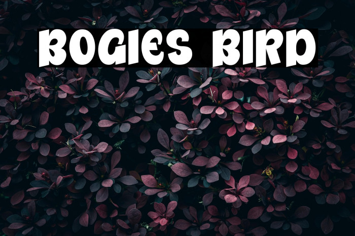 Bogies Bird Example 2