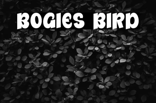 Bogies Bird Font examples