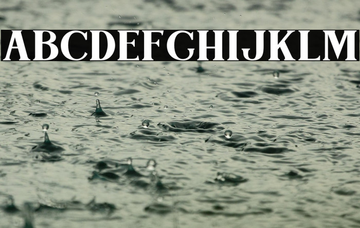 Bogota Bold Personal Use Example 3