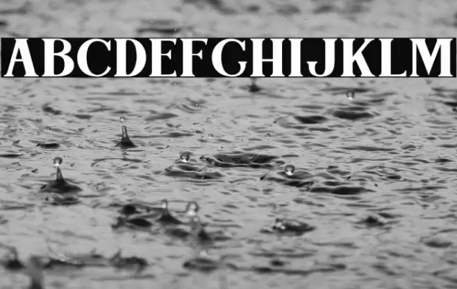 Bogota Bold Personal Use Font examples