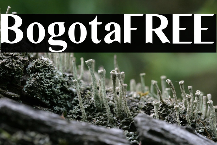 BogotaFREE Example 1