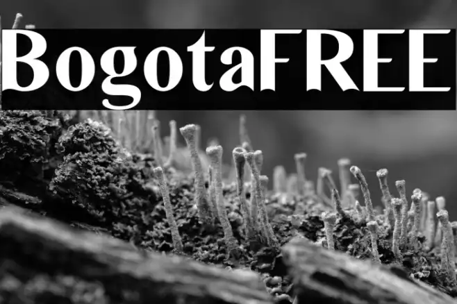 BogotaFREE Example 1