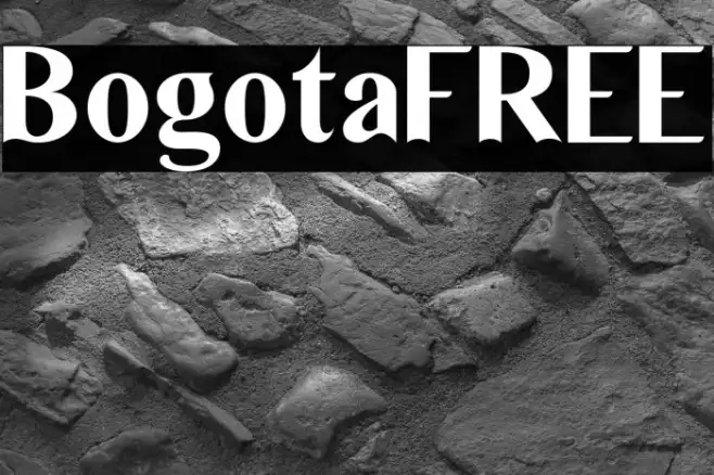 BogotaFREE Example 2
